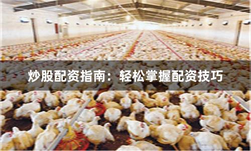 炒股配资指南：轻松掌握配资技巧