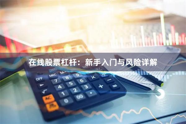 在线股票杠杆：新手入门与风险详解