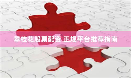 攀枝花股票配资 正规平台推荐指南